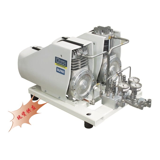 Integrated SF6 Gas Compressor